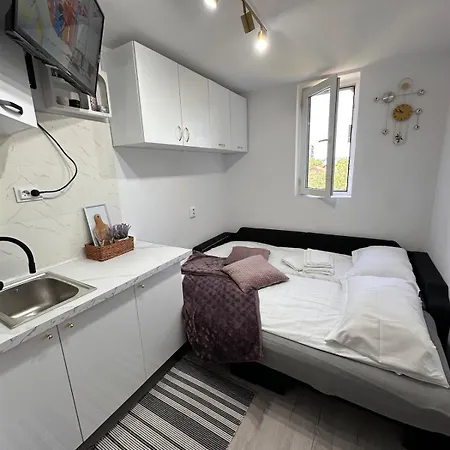 Cochet, Aproape De Centru * Cluj-Napoca