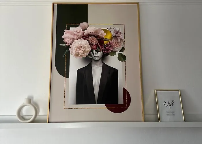 Cochet, Aproape De Centru Kaloşvar